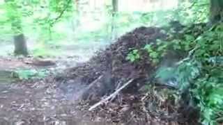 preview picture of video 'Stevens new bushcraft shelter pt 1'