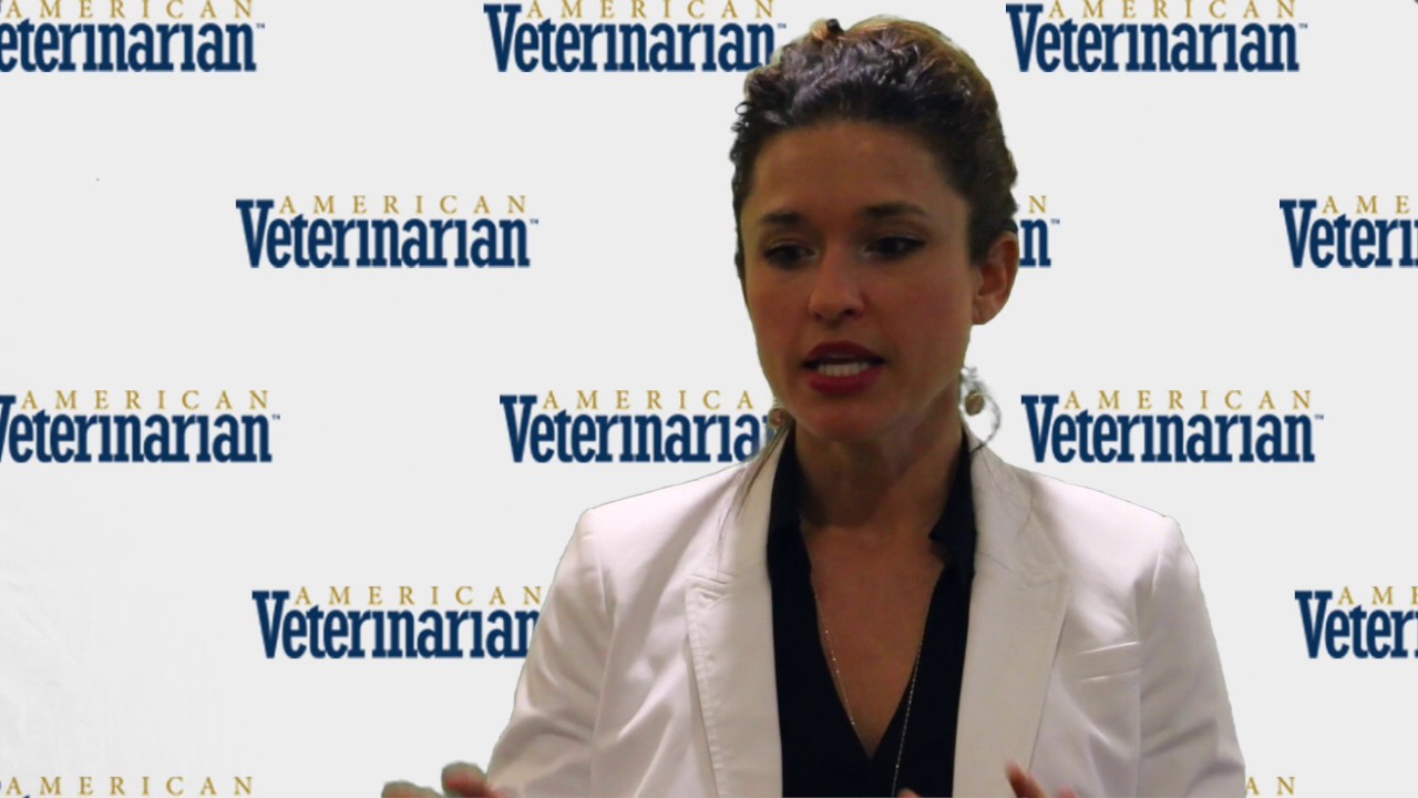 How to Use Creative Euthanasia In Your Veterinary Practice