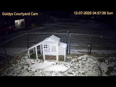 Goldy's Farm Animal Sanctuary thumbnail