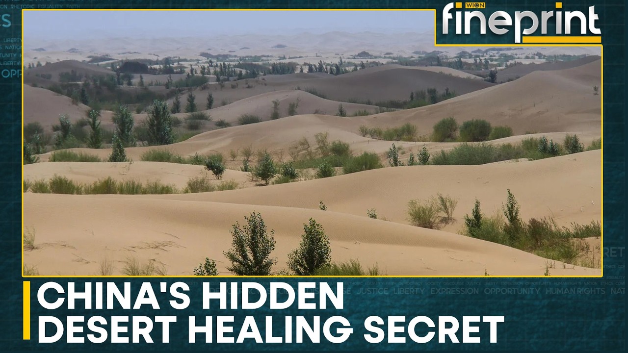 China's Hidden Desert Healing Secret | Inner Mongolia's Natural Salt Therapy Attracts Tourists
