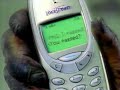 America Online Chimp Commercial 2001