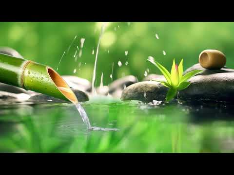 gentle music, bamboo water fountain 24/7 - piano, relaxingmusic