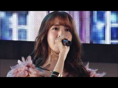 Divine-Indestructible ( Japanese Ver)- Girls' Generation live at Tokyo Dome