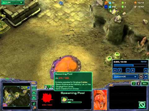 BeastyQT (T) vs Hunter (Z) - STARBOW!!!