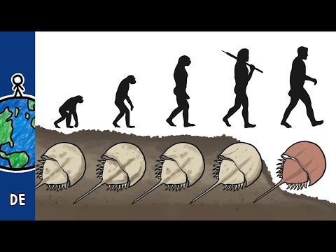 Ist dieses Tier einfach perfekt?