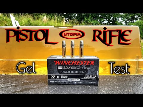 Winchester Silvertip .22LR Ballistic Gel Test \u0026 Review