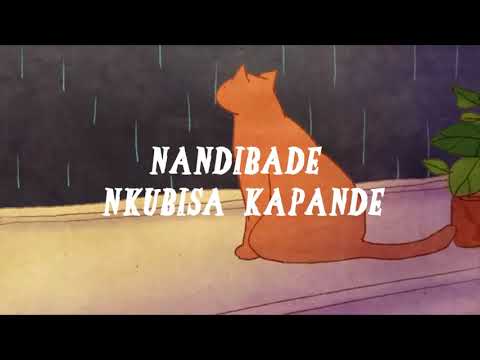 kapande lyrics video by BMW