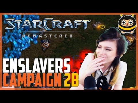 Livibee | Enslaver Campaign [SC:R] | Mission Two B