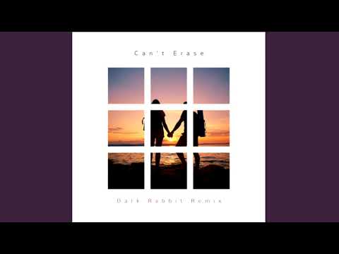 Nause, Rebecca & Fiona - Can't Erase (🐰Dark Rabbit Remix)