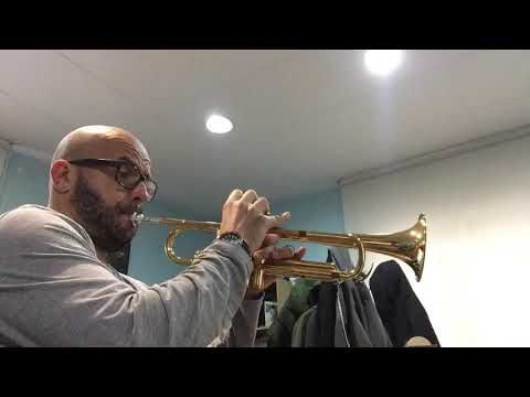 Escuchar, leer y tocar vol.1, La danza de los payasos (track 37)- trompeta