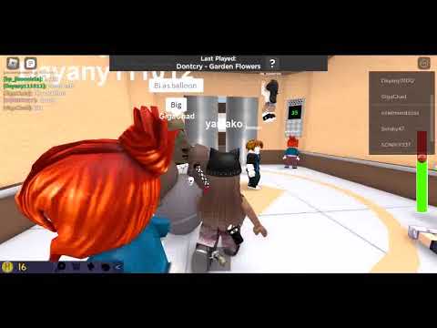 the normathe normalthe normal elevator