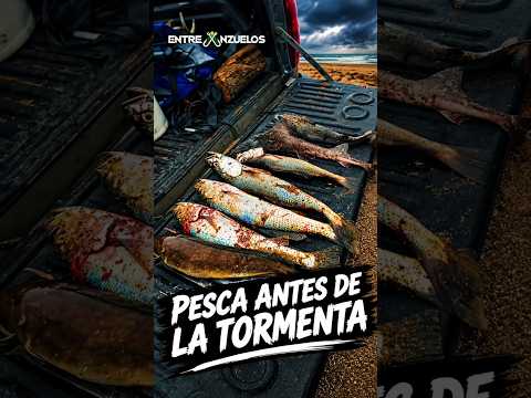 Pesca variada antes de la tormenta en playas de balneario San Cayetano! #fishing #nature #pesca