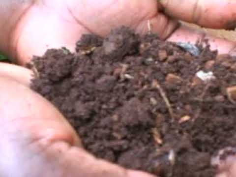 SAMMY MURAYA - KIA MENENGAI (OFFICIAL VIDEO)