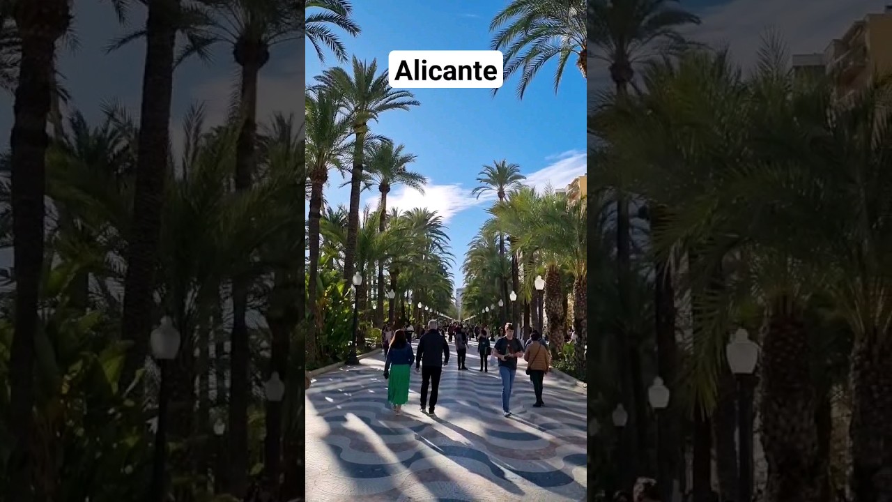 🌴🌴 Bulwar ESPLANADA D'ESPANYA w #Alicante #hiszpan...