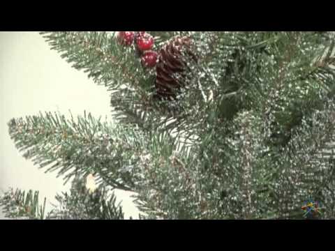 4 ft  Pre Lit Dunhill Fir Entrance Tree - Product Review Video