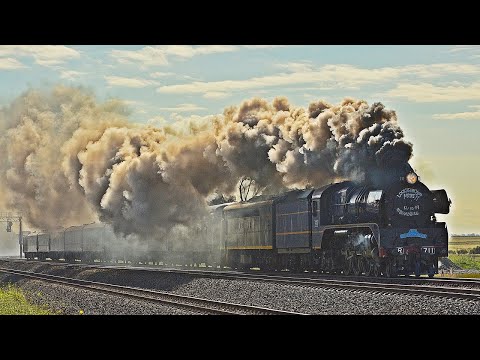 Steamrail - Warrnambool Westcoaster 2019 | R711 & S313