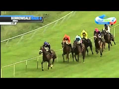 2016.03.20 Bloodstock South Africa 2000 (ZIM) - Mathematician