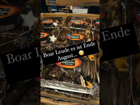 29 08 2023 - Gustav Schäfer Instagram Stories