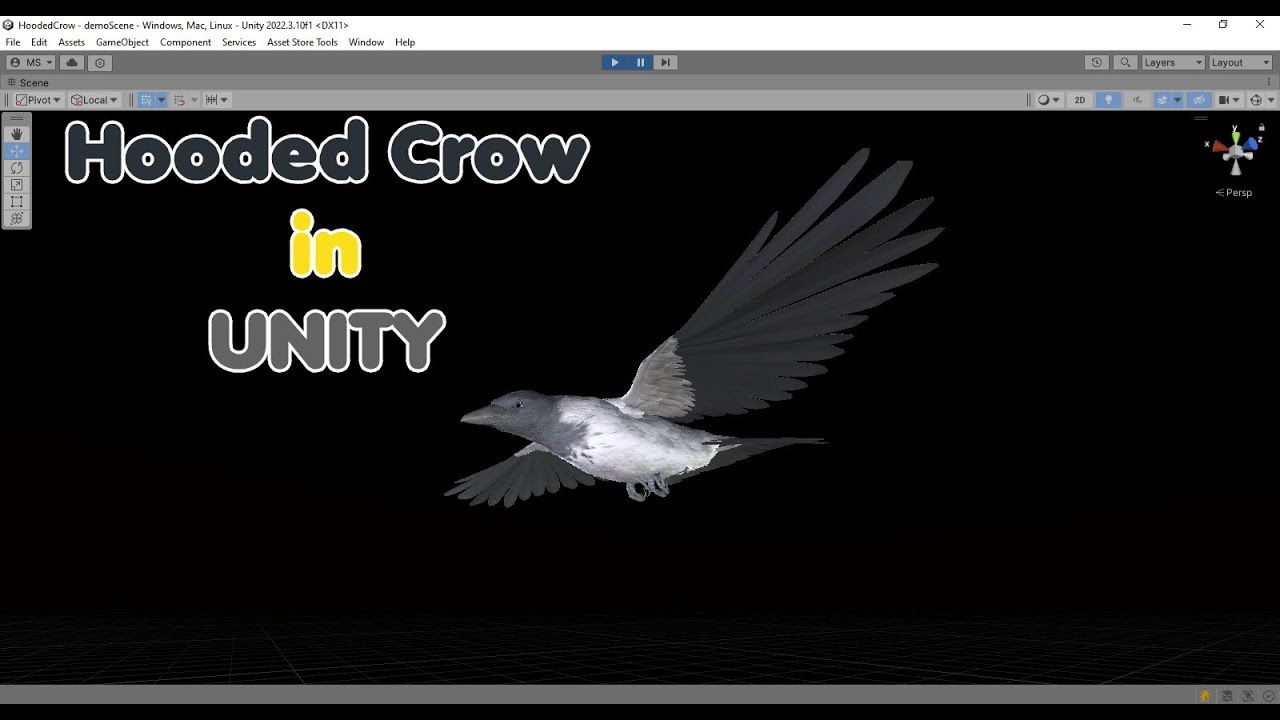 Corvo encapuzado animado realista Modelo 3D