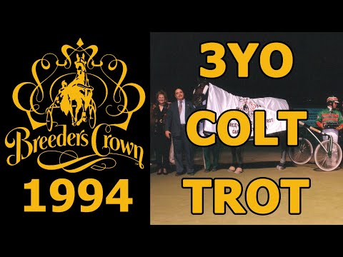 1994 Breeders Crown - Incredible Abe - 3YO Colt Trot
