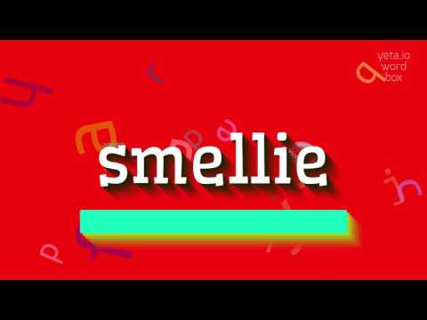 How to say "smellie"! (High Quality Voices)
