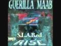 Guerilla Maab - Aint Gettin Shit