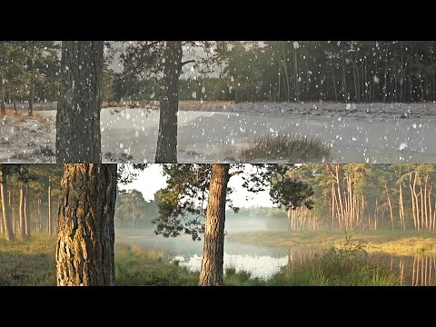 System 7, Supercozi, Gus Till - Chill Dome Refugees 2020 (Hesius Dome Remix) | Chill Space