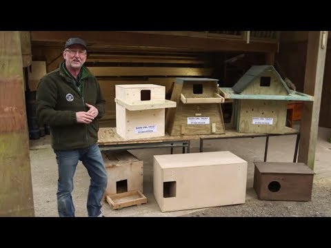 How to Choose the Best Barn Owl Nestbox Design