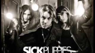 Sick Puppies-Cancer