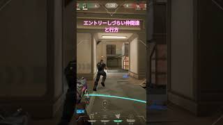 まじで、デュエリストいないエントリーはきついってばさー🤣