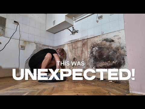 Unexpected Mold Surprise in Our Old Kitchen! 😱 | Kitchen Renovation Shock