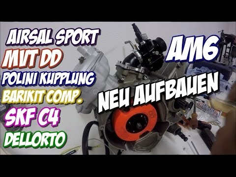 AM6 Motor neu aufbauen // Goose Racing