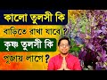 Krishna Tulsi Leaves In Krishna Puja
