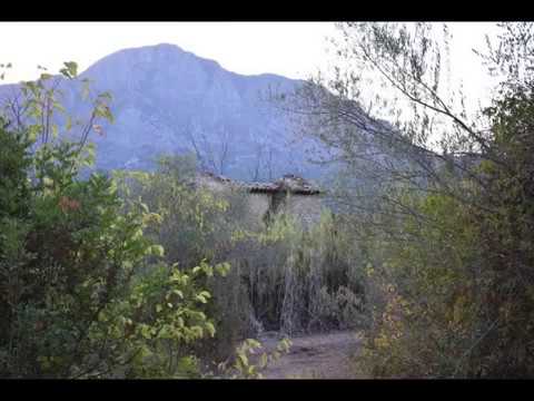 AUSONIA VENDE:  CP0112