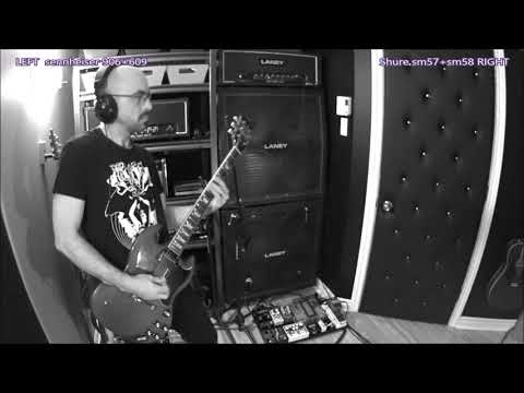Stoner Amp Cover :: Laney AOR :: Elephant Tree