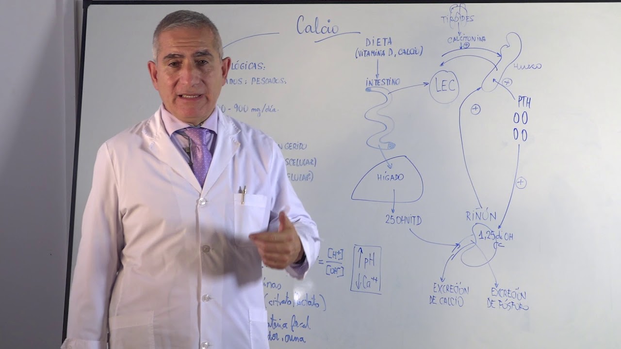 METABOLISMO DEL CALCIO