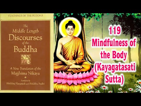 The Middle Length Discourses: Sutta 119 Mindfulness of the Body (Kayagatasati Sutta)