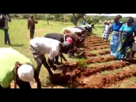 Amina issa publication(1)