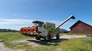 Купити зернозбиральний комбайн Claas Dominator Mega 202 - Зображення 4 | Agriline UA Зернозбиральний комбайн Claas Dominator Mega 202 | Зображення 4 - Agriline