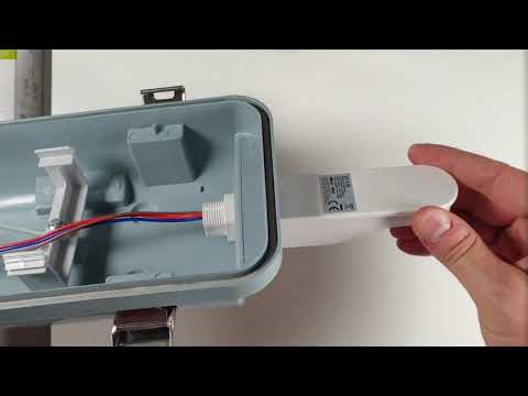 Guarda il video