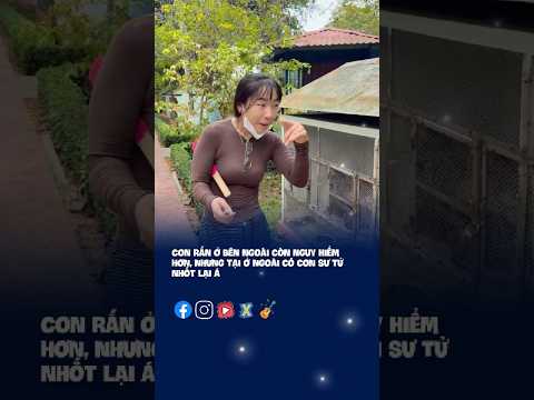 Con rắn ở bên ngoài còn nguy hiểm hơn #atmusic #fyp #shorts #xuhuong #daoly #giaitri #funny