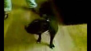 Cassius being Clint Eastwood