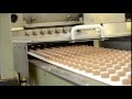 Sollich Chocotech Moulding Line