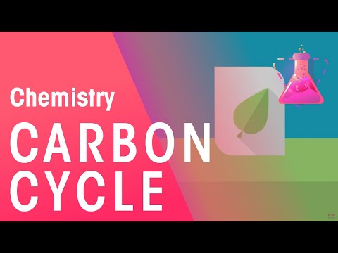 What Is The Carbon Cycle - Part 1| Environmental Chemistry | Chemistry | FuseSchool
