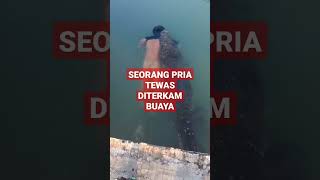 Download lagu TEWAS DITERKAM BUAYA DIPINGGIR SUNGAI!!! mp3 Download lagu TEWAS DITERKAM BUAYA DIPINGGIR SUNGAI!!! mp3