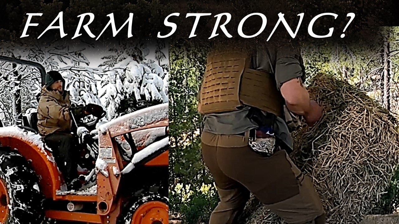 The Best Training Program for Men