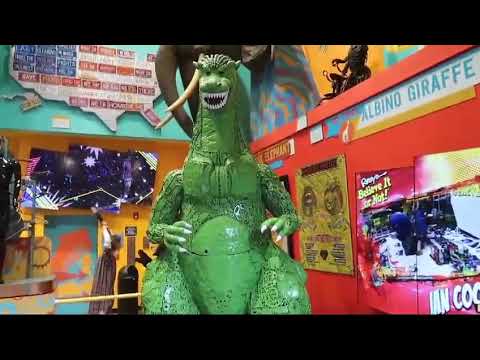 Top 10 Attraction for children, I visited and found it