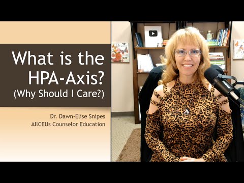 What is the HPA Axis AKA The Stress Response