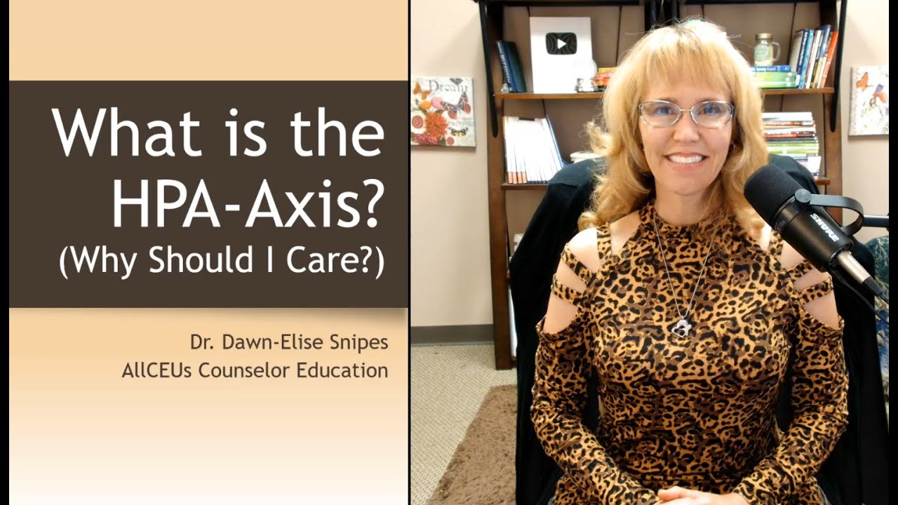 What is the HPA Axis AKA The Stress Response