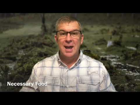 What happens when you die - Psalm 116:15